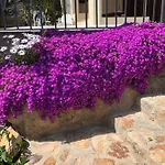 Willa Bouganvilla Tossa de Mar