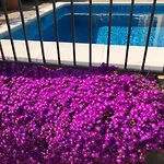 Villa Bouganvilla Parking Privado 32 En La Playa