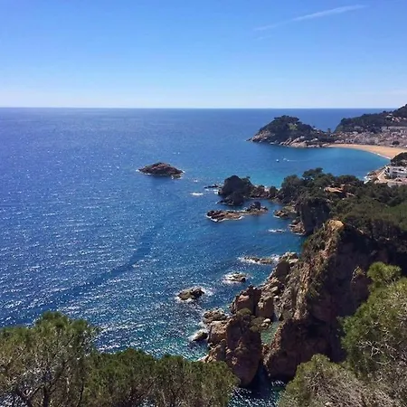 Bouganvilla Tossa de Mar
