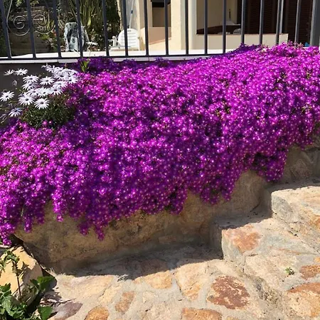 Villa Bouganvilla Parking Privado 32 En La Playa Tossa de Mar