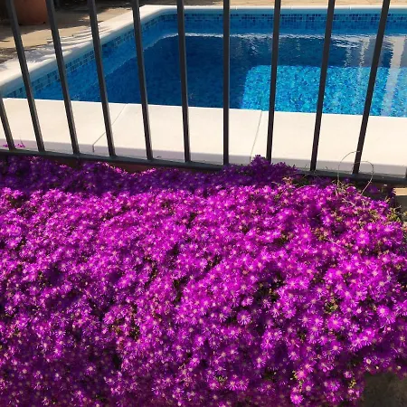 Villa Bouganvilla Parking Privado 32 En La Playa