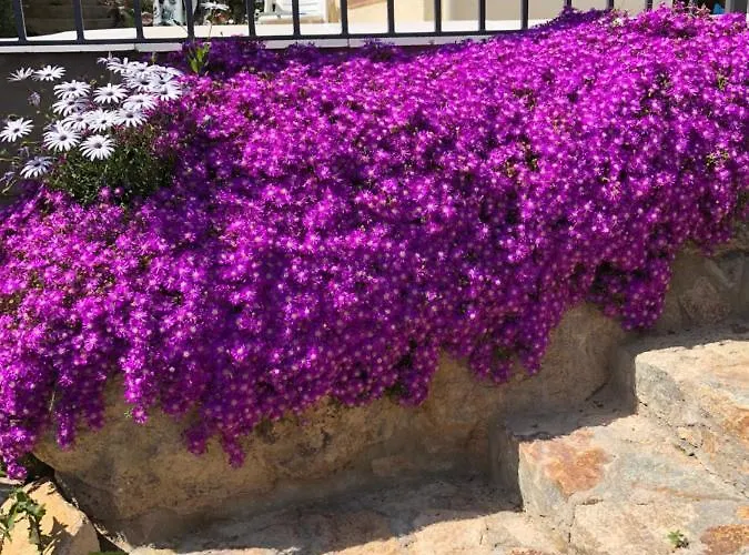 Villa Bouganvilla Tossa de Mar